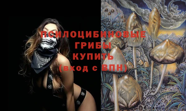 скорость Покачи