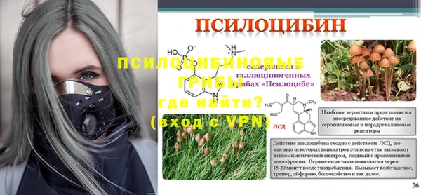 таблы Пересвет
